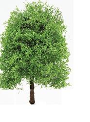 Faux Miniature Light Green Oak Tree