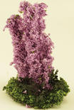 Miniature Blooming Purple Larkspur Flower