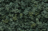 Medium Green Underbrush Clump Foliage