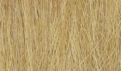 Miniature Natural Dried Harvest Gold Field Grass
