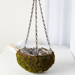 Mossy Twig Hanging Basket