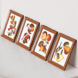 Dollhouse Miniature Framed Fruit Pictures
