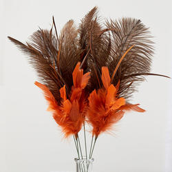 Orange and Brown Ostrich Feather Sprays