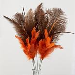 Orange and Brown Ostrich Feather Sprays