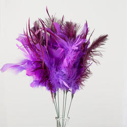 Purple Ostrich Feather Sprays