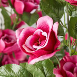 Faux Fuchsia Open Rose Stems