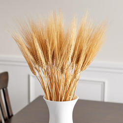 Natural Dried Wheat Bundles