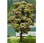 Dollhouse Miniature Blossoming Tree, 6 Inch Tall - 2pcs.