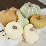 Assorted Faux Botanical Pumpkins and Gourds