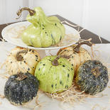 Assorted Faux Cream and Green Pumpkins and Gourds