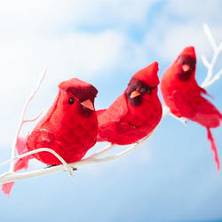 Feather Tail Mushroom Cardinals with Clips
