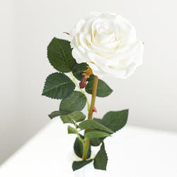 Real Touch White Rose Stem