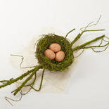 Artificial Mossy Branch with Nest and Eggs