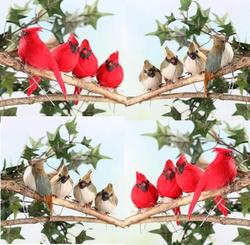 Assortment of Male and Female Plump Cardinals