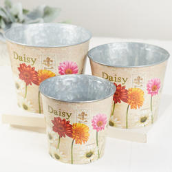 Gerbera Daisy Print Planter Set