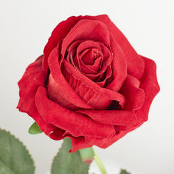 Artificial Single Silk Red Rose Stem