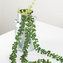Artificial String of Pearls Succulent Plant