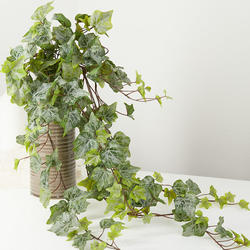 Real Touch Cascading Frosted Green English Ivy Bush