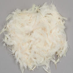 Off White Cream Loose Feathers