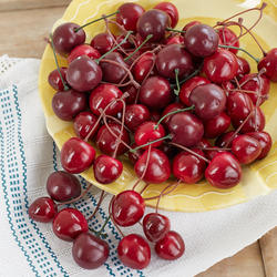 Assorted Realistic Artificial Cherries