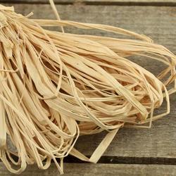 Bulk Case of 36 Natural Dried Raffia Ribbons