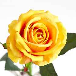 Yellow Artificial Single Open Rose Stem