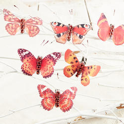 Orange and Red Assorted Butterflies with Gems
