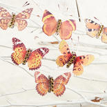 Orange Assorted Butterflies with Gems