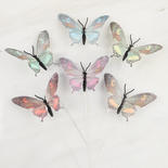 Dark Printed Feather Butterflies