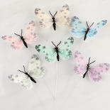 Assorted Spotted Feather Butterflies