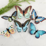 Assorted Print Artificial Butterflies