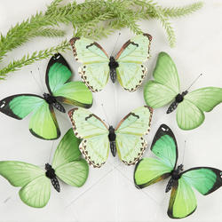 Green Assorted Print Artificial Butterflies