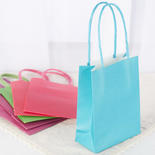 Small Assorted Color Gift Bags