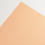 Salmon Color Core'dinations Cardstock
