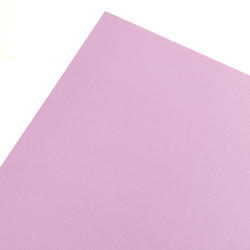 Purple Color Core'dinations Cardstock