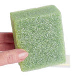 Case Green Floral Foam Blocks