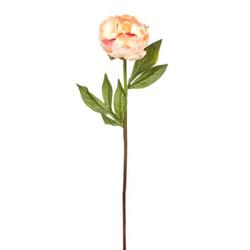 Artificial Real Touch Long Stem Pink Peony