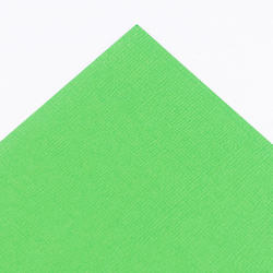 Lime Color Core'dinations Cardstock