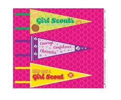 Girl Scouts Felt Wall Pennants Panel