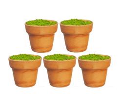 Miniature Brown Ceramic Filled Garden Pots