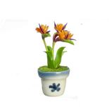 Miniature Potted Bird of Paradise Plant