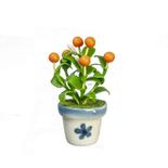 Miniature Potted Orange Tree Plant