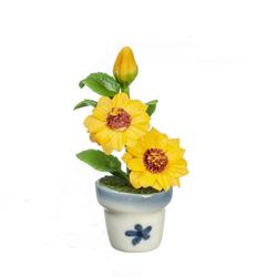 Miniature Potted Sunflower Plant