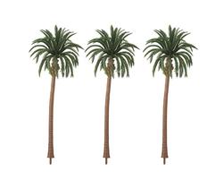 Miniature Diorama Tall Palm Trees