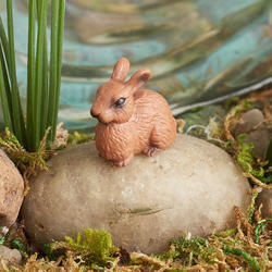 Miniature Brown Rabbit