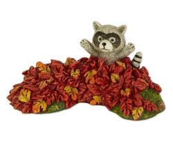 Mini Raccoon in Fall Leaves