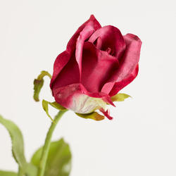 Fuchsia Artificial Rose Long Stem