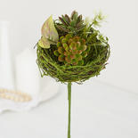 Artificial Succulent with Foliage in Mossy Nest Pick