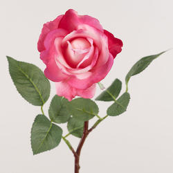 Beauty Pink Real Touch Caroline Rose Stem