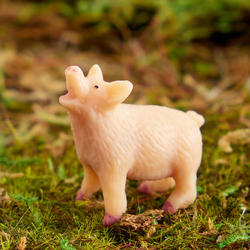 Micro Mini Pig